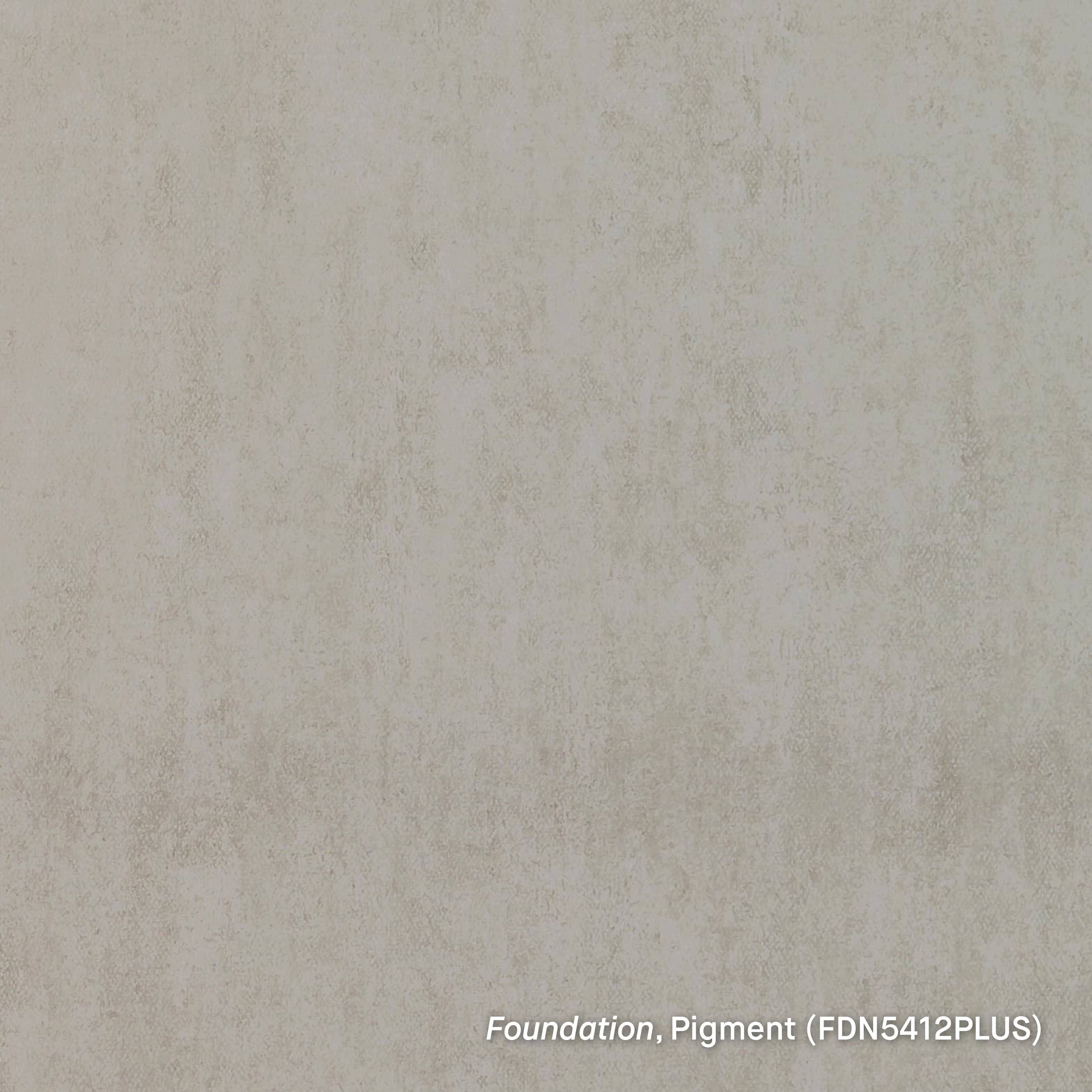 Foundation Plus Pigment