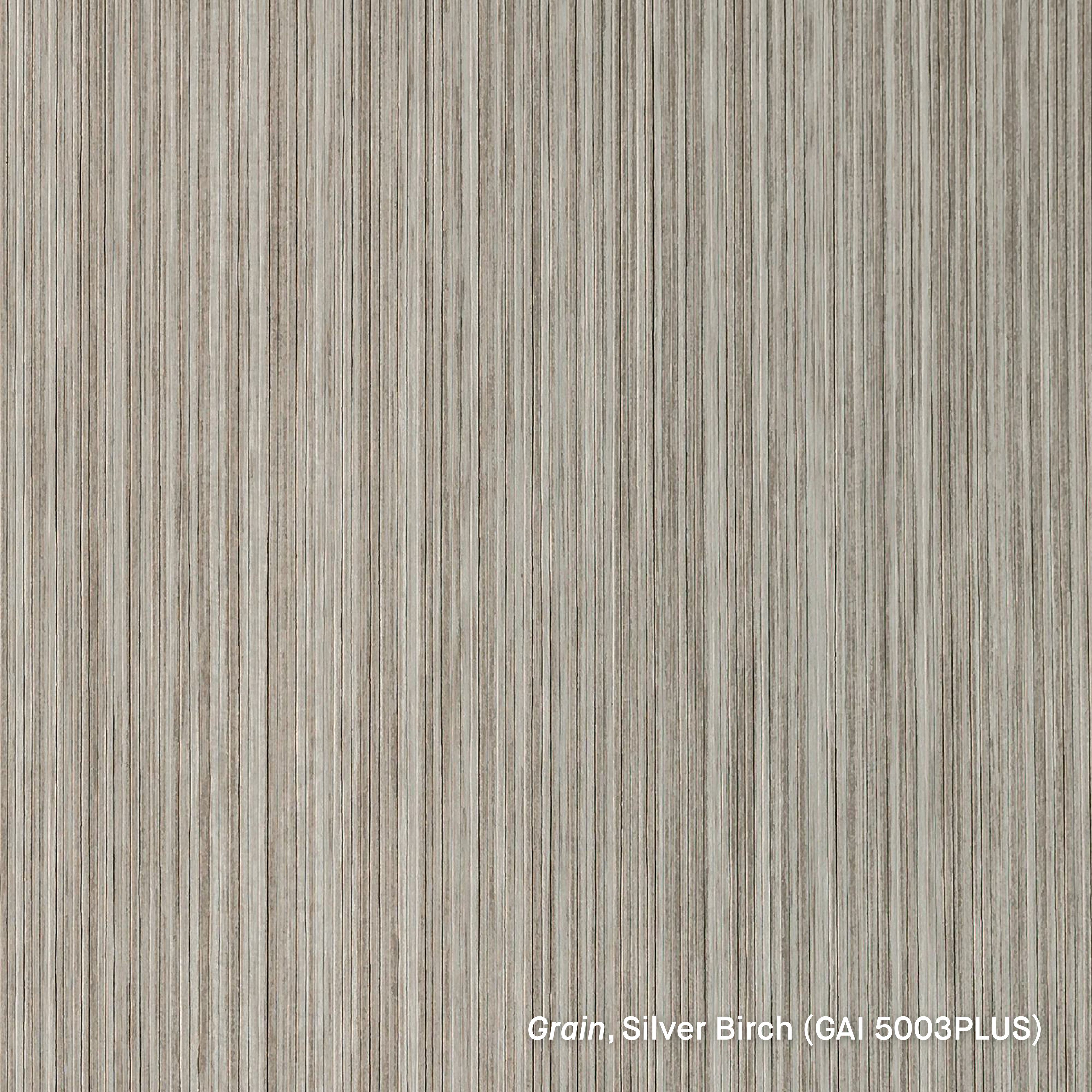 Grain Plus Silver Birch